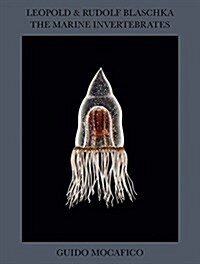 Toru Komatsu: A Distant Shore (Paperback)