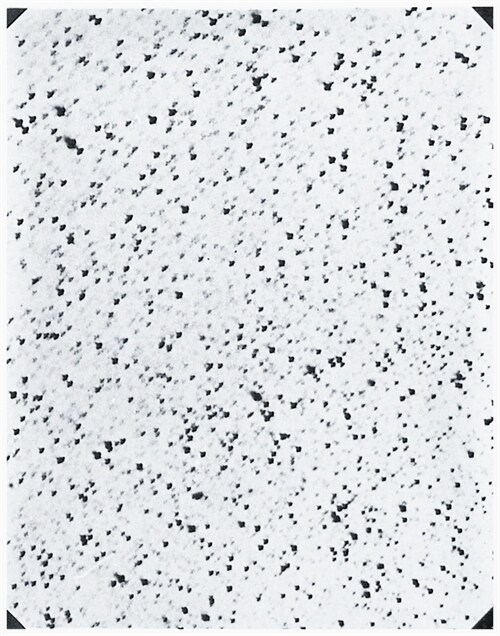 Anders Petersen: City Diary #5 (Paperback)