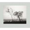 David Bailey: 128 Polaroids (Hardcover)